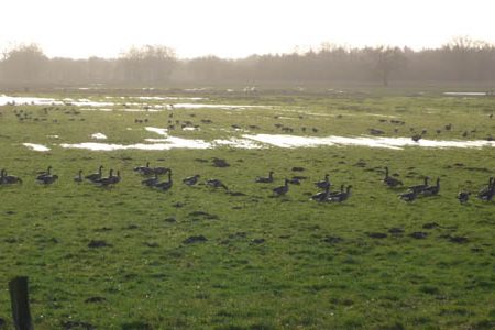 Radwanderweg